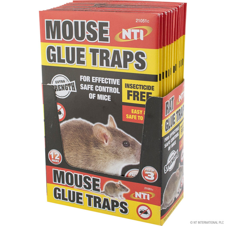 Prima 3pc Mouse Glue Traps - Display Box