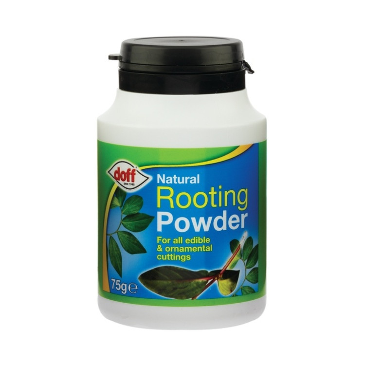 Doff Natural Rooting Powder 75g